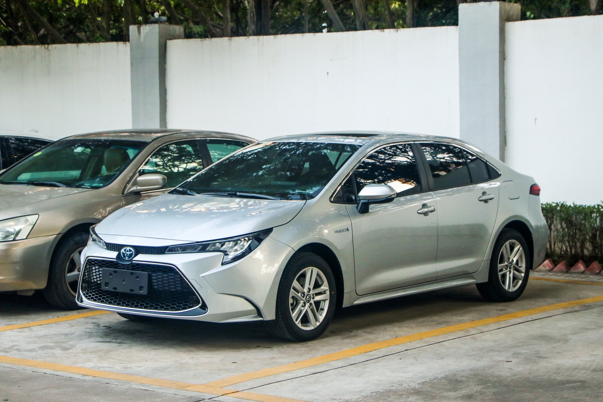 Toyota Levin Hybrid, тот же гибрид под другим именем: сотовая решётка и шильд HYBRID на крыле