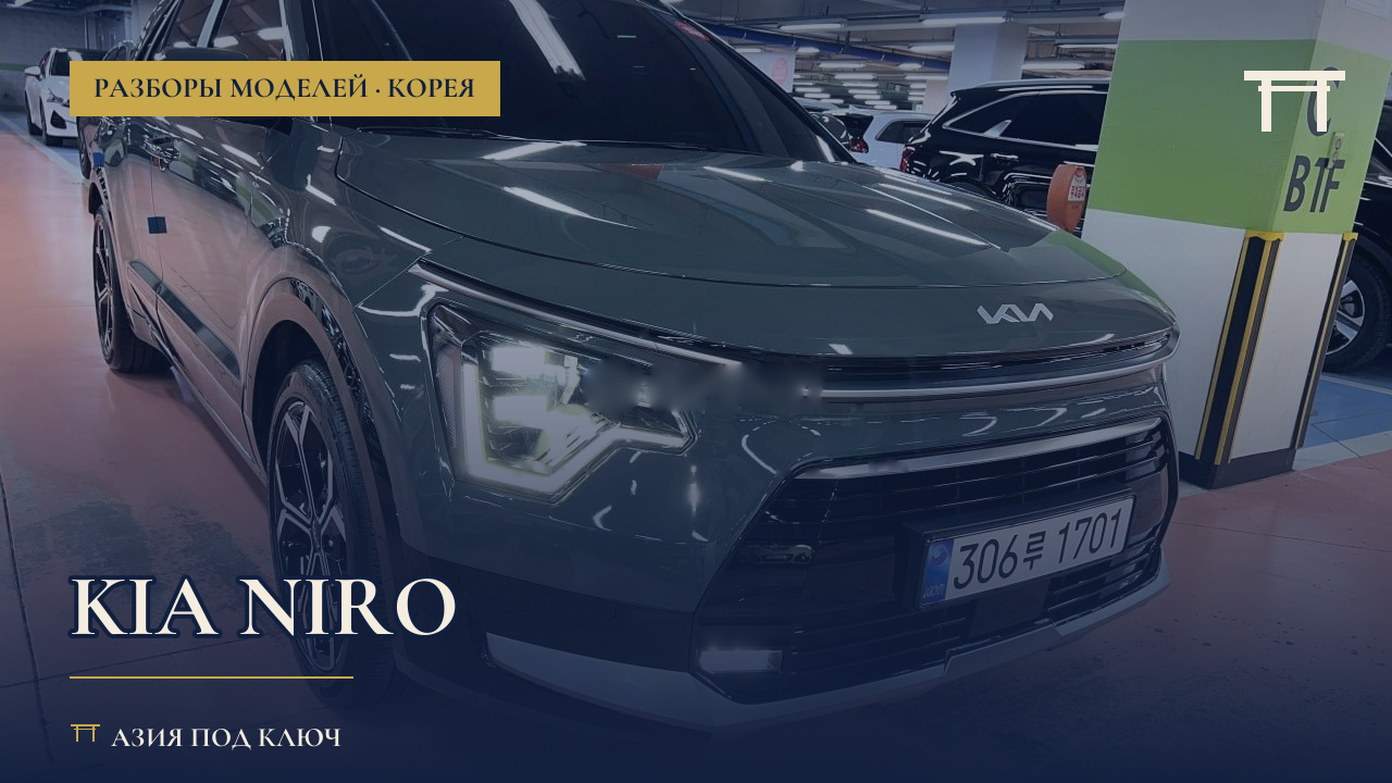 Kia Niro из Кореи: гибрид, цена под ключ